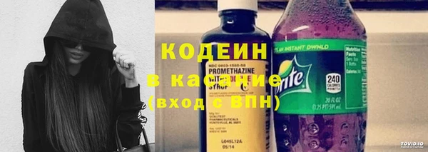 мдпв Верхний Тагил