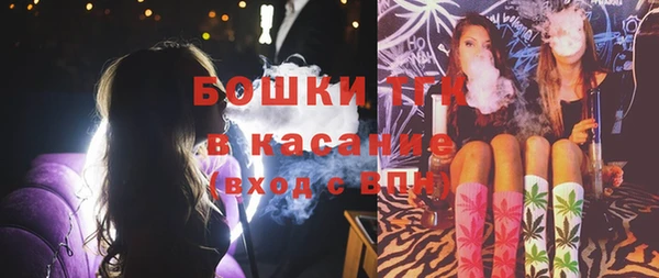 мдпв Верхний Тагил